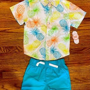 Collared shirt and shorts set NWT